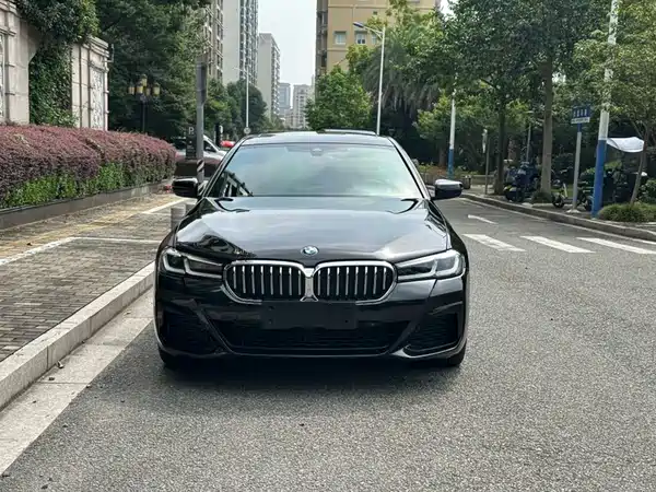 BMW 5 Series New Energy 2022