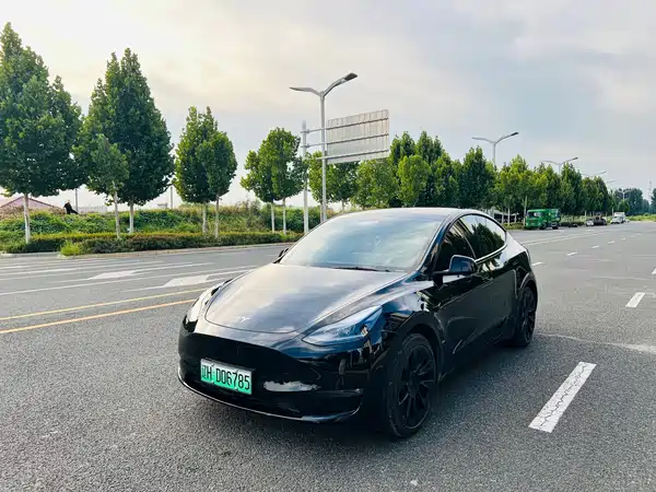 Tesla Model Y 2021