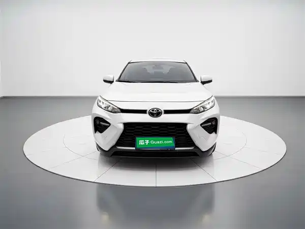 Toyota Wildlander 2020