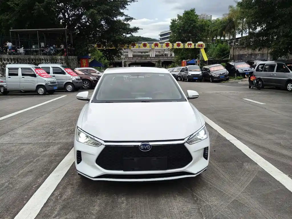 BYD e2 2021
