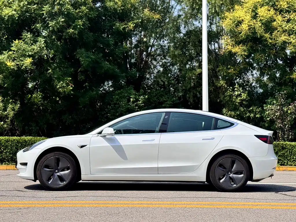 Tesla Model 3 2019
