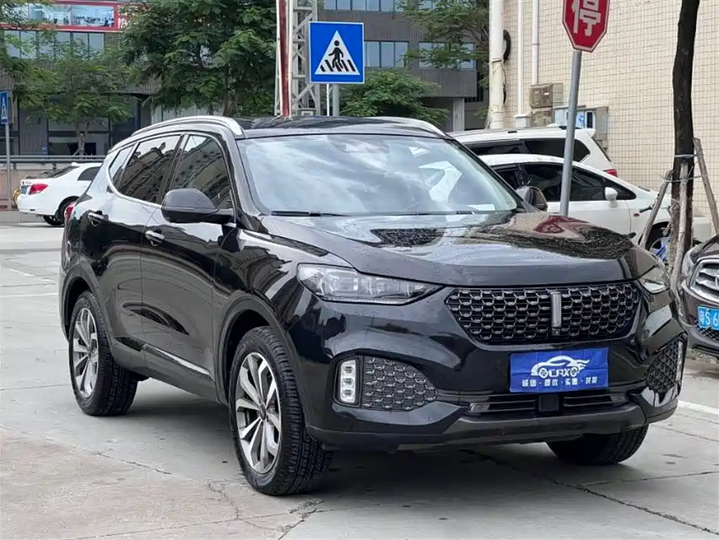 Wey VV6 2020