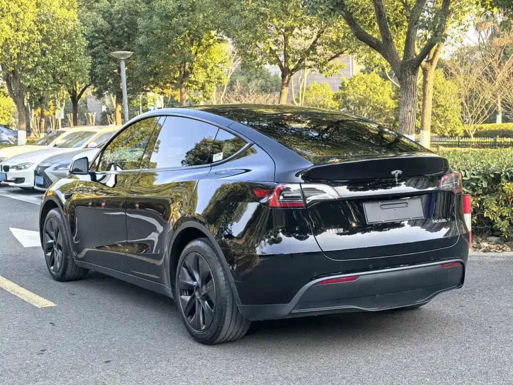 Tesla Model Y 2023 — фото 17