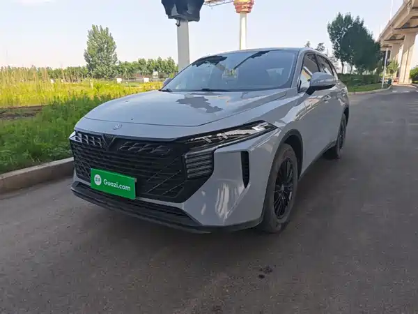 Venucia Big V 2021