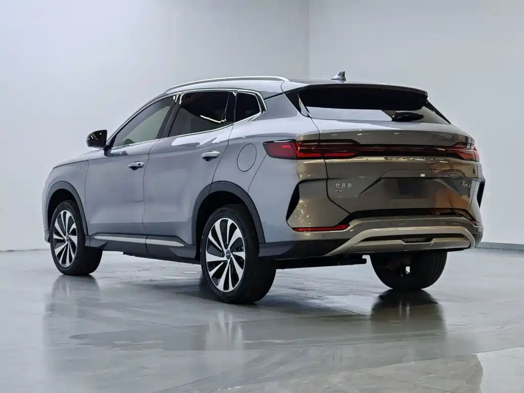 BYD PLUS New Energy 2024 — фото 14