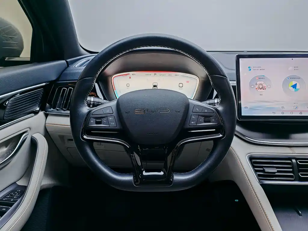 BYD PLUS New Energy 2024 — фото 18