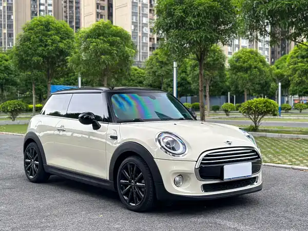 MINI 2019