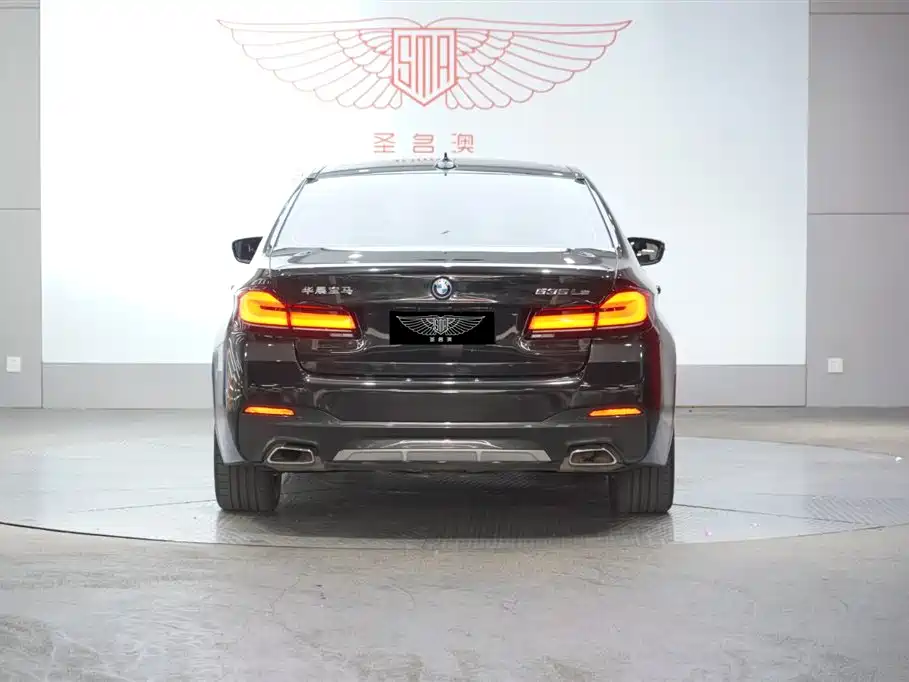BMW 5 Series New Energy 2022