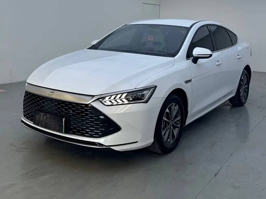 BYD Qin PLUS 2024 — фото 1