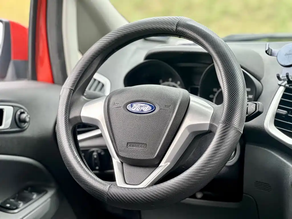 Ford Ecosport 2013 — фото 29