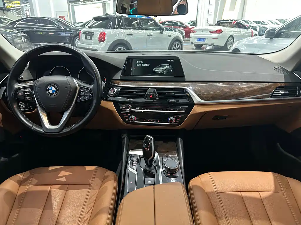 BMW 5 Series 2018 — фото 9