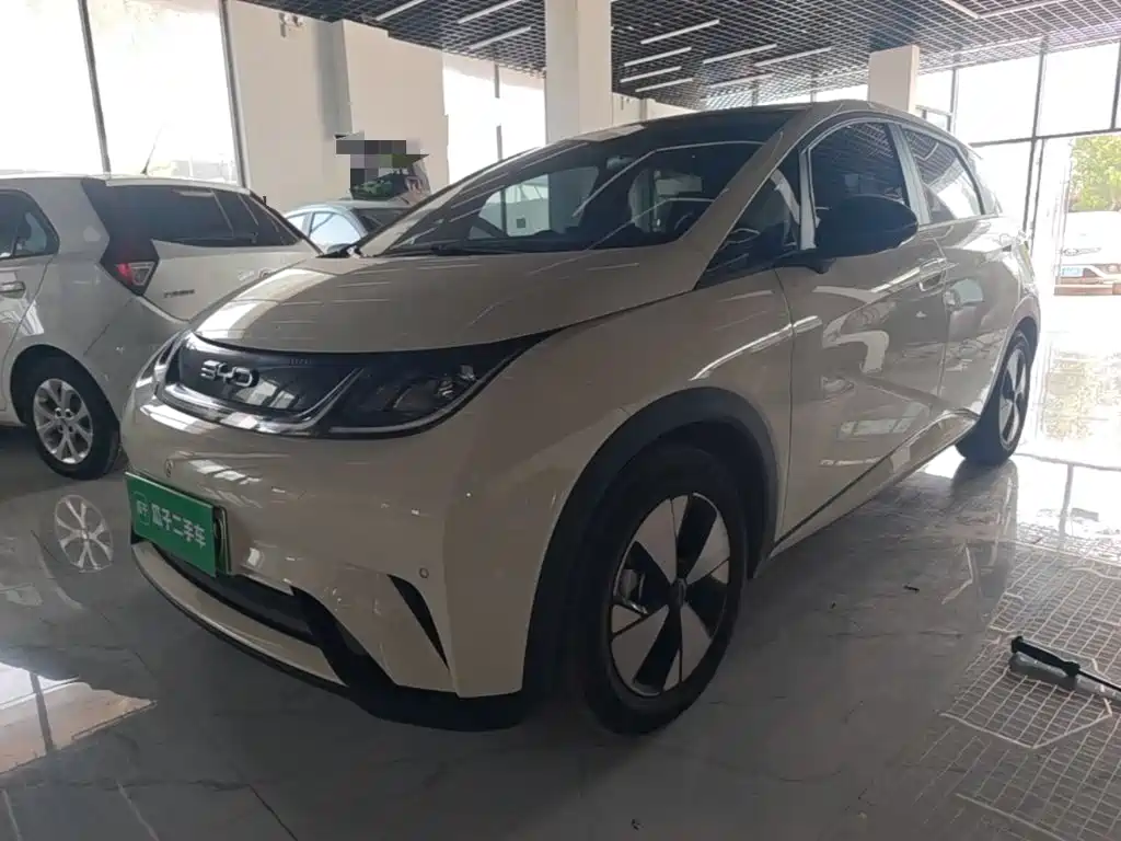 BYD Dolphin 2023