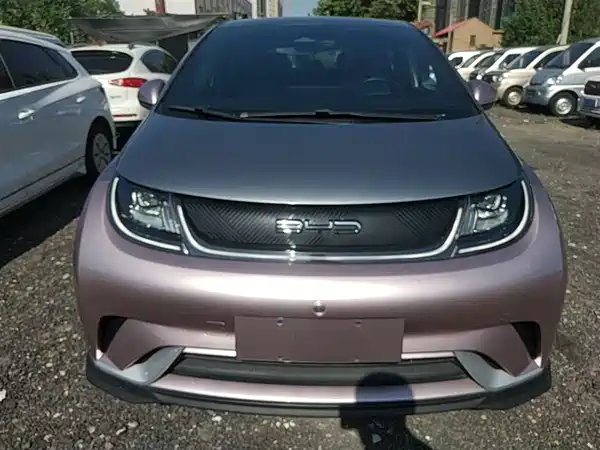 BYD Dolphin 2021