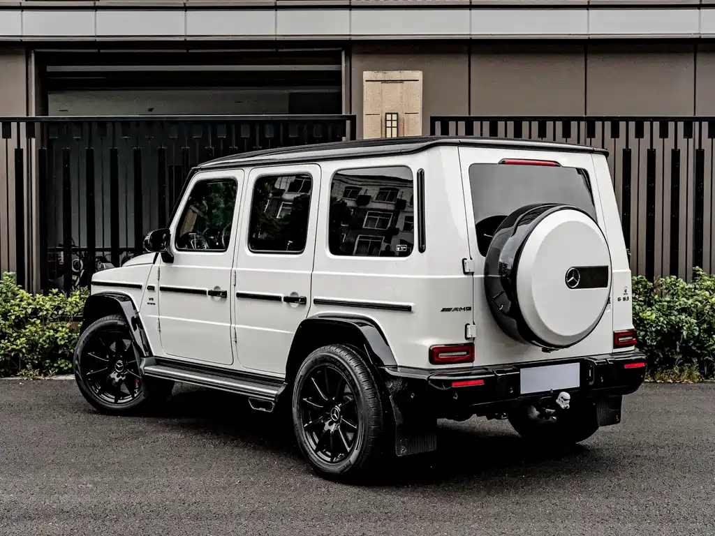 Mercedes-Benz G-Class 2018 — фото 4