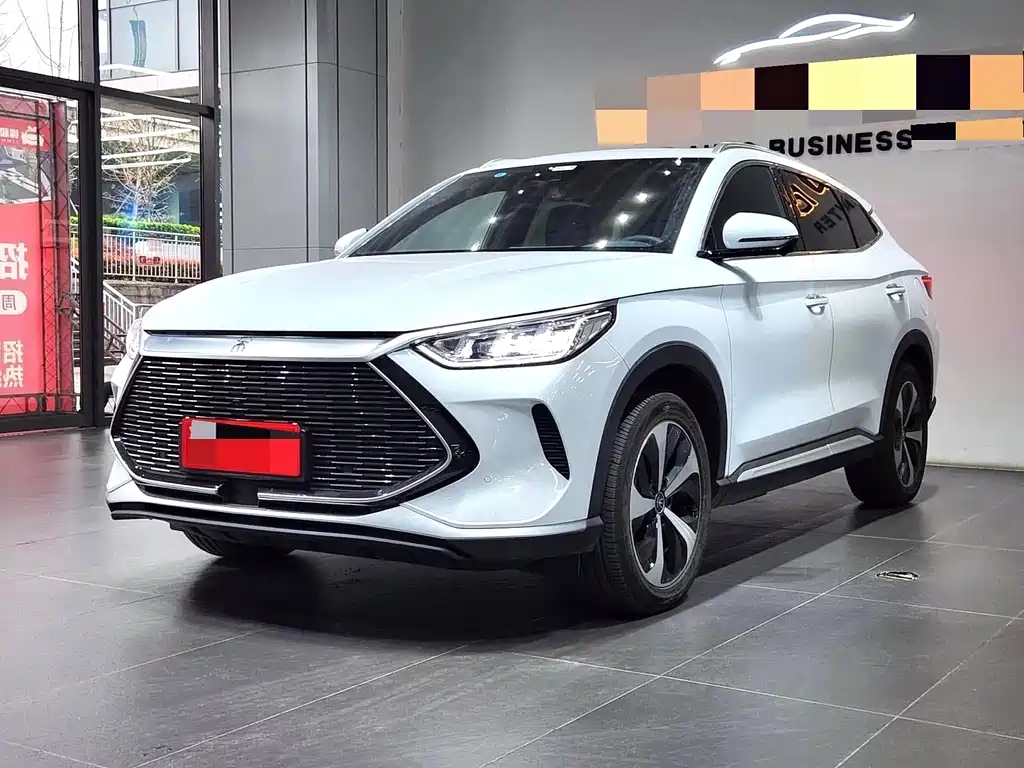 BYD PLUS New Energy 2022 — фото 1