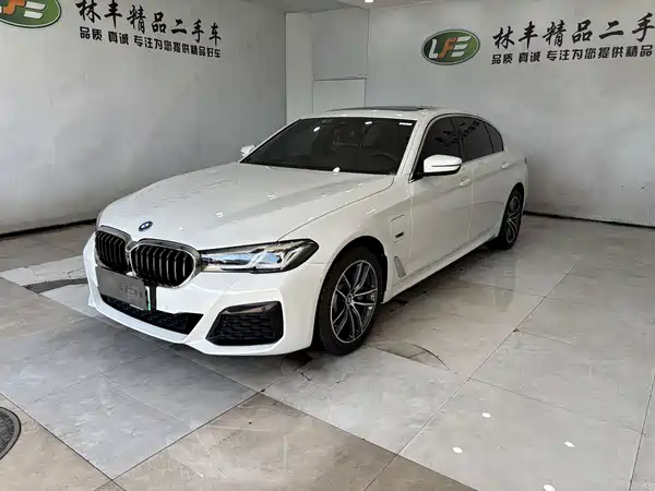 BMW 5 Series New Energy 2022