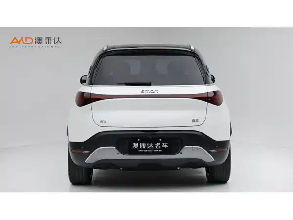 smart #1 2024