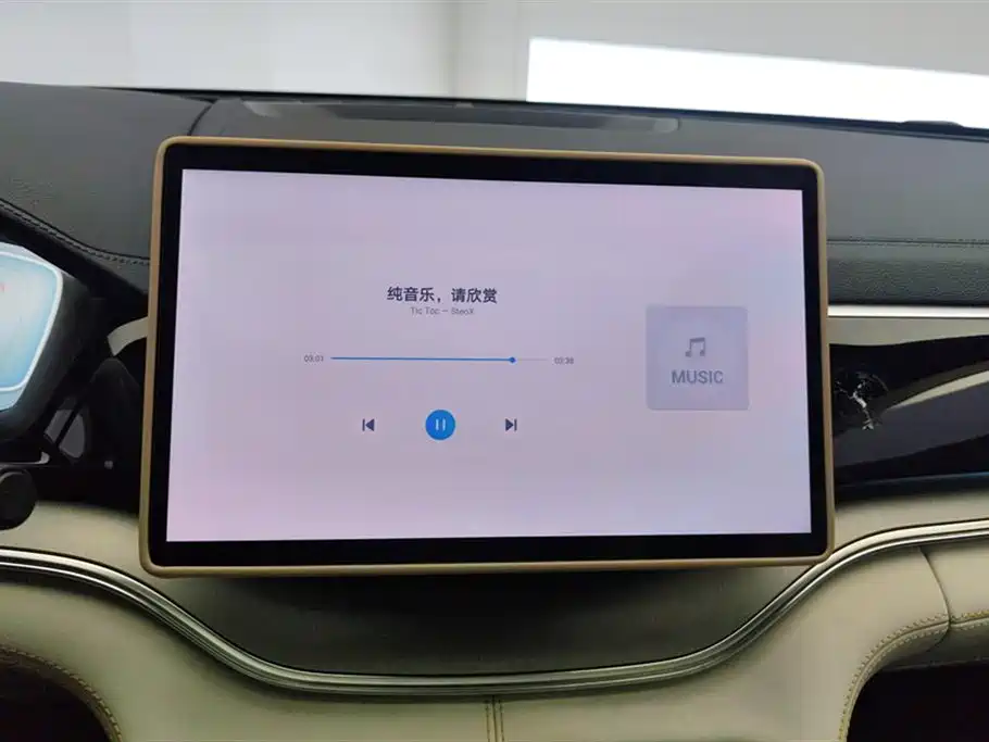 BYD Song PLUS New Energy 2024 — фото 13