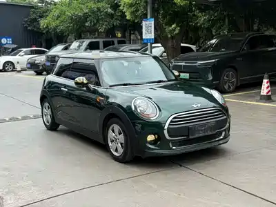 MINI MINI 2015