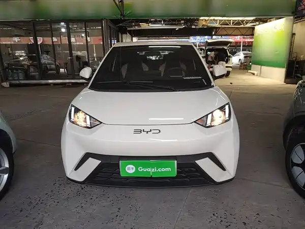 BYD Seagull 2025