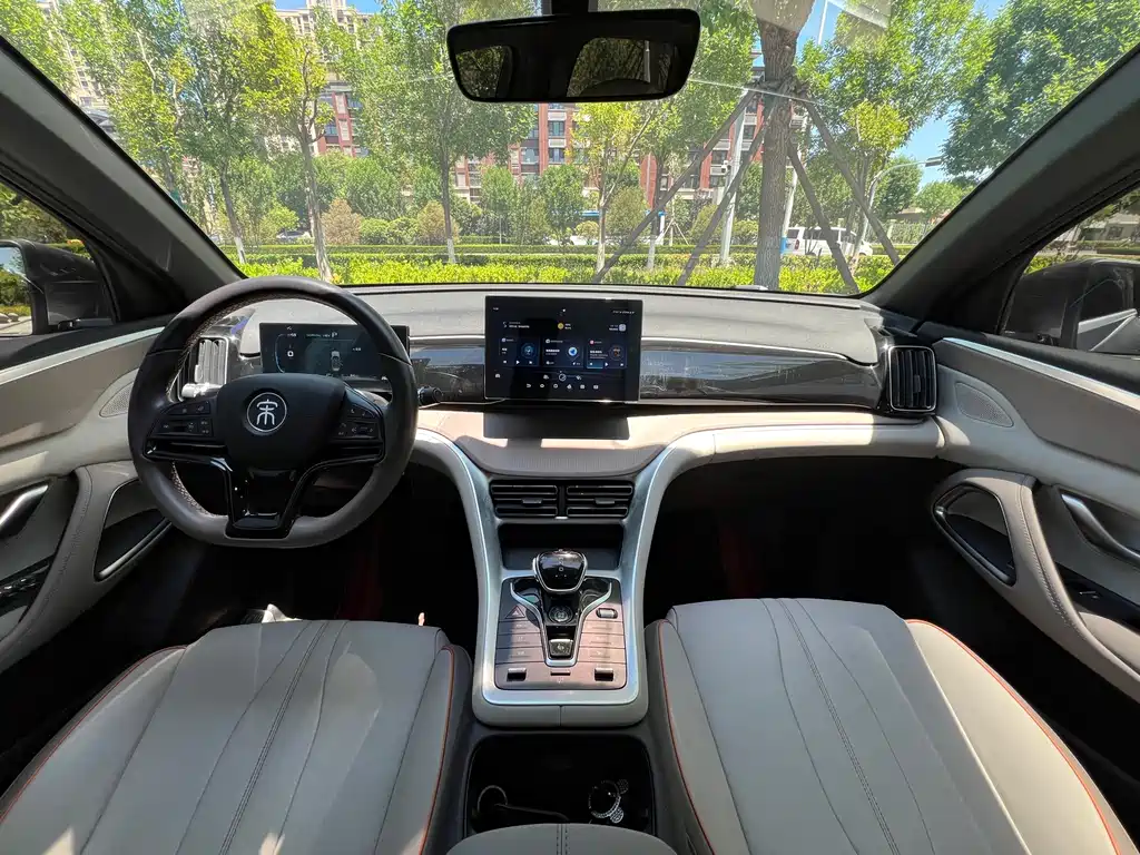 BYD Pro New Energy 2024 — фото 11