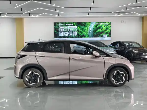 BYD Dolphin 2021