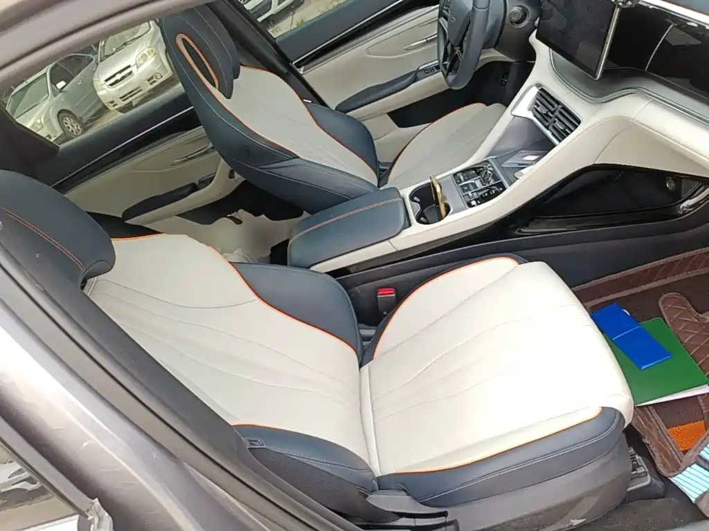 BYD Song PLUS New Energy 2024 — фото 25