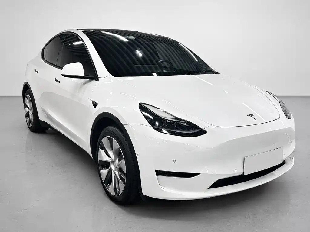 Tesla Model Y 2021 — фото 1