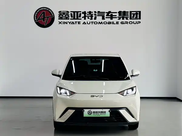 BYD Seagull 2024