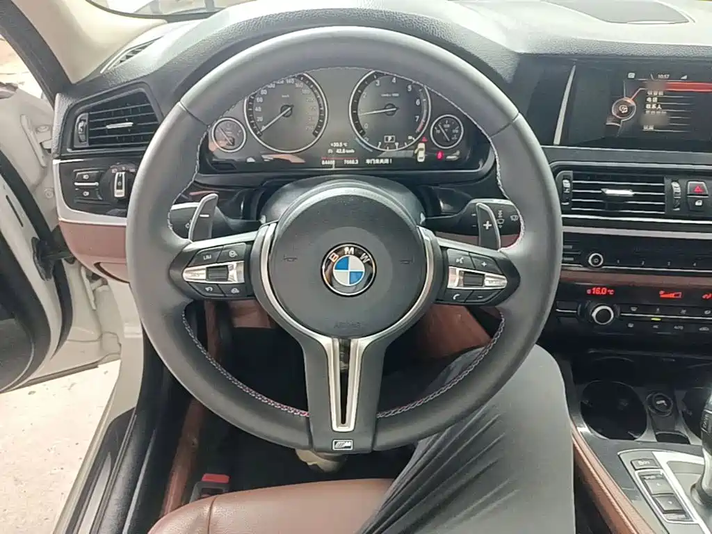 BMW 5 Series 2015 — фото 11