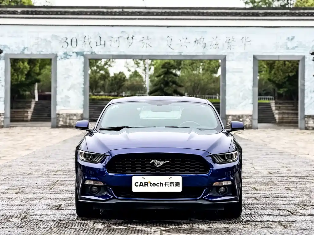 Ford Mustang 2016 — фото 2