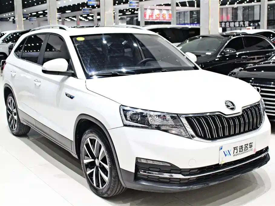 Skoda Kamiq 2021 — фото 3