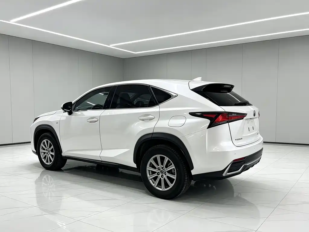 Lexus NX 2020 — фото 7