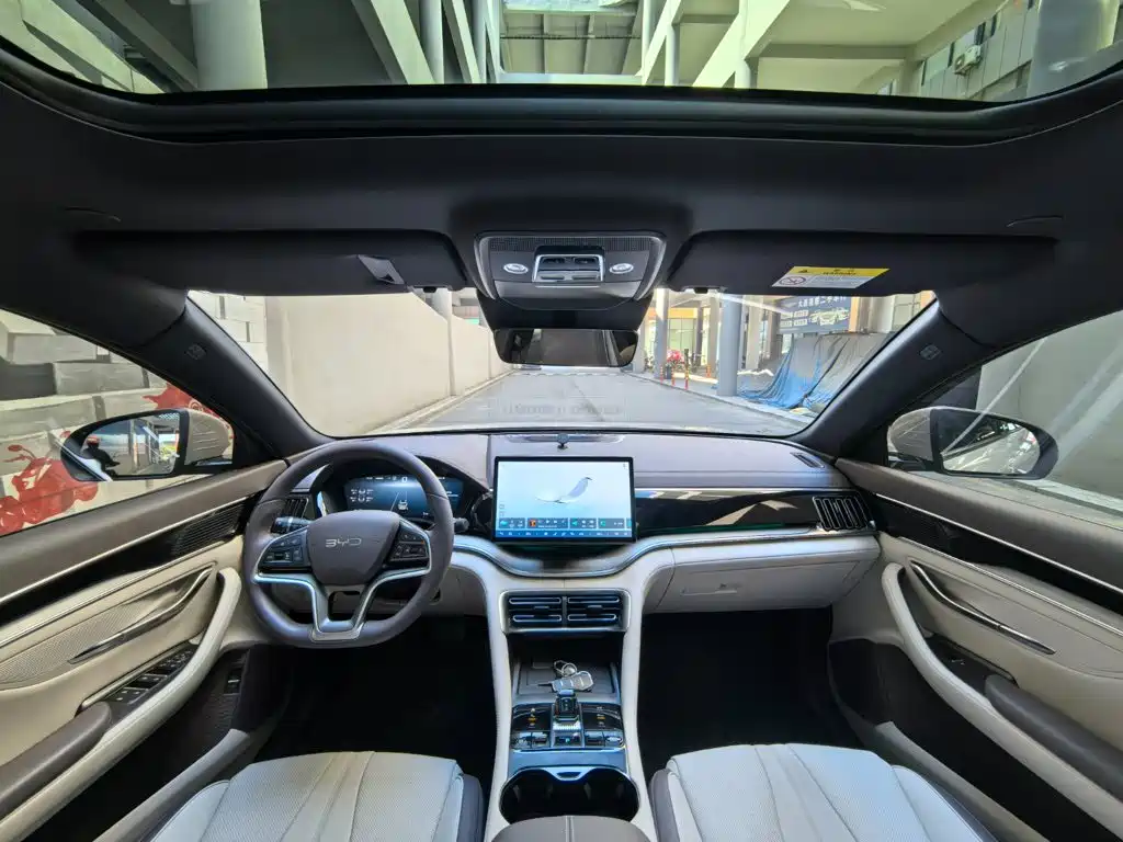BYD Song PLUS New Energy 2024 — фото 11