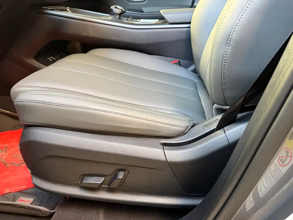 BYD Song Pro New Energy 2025 — фото 14