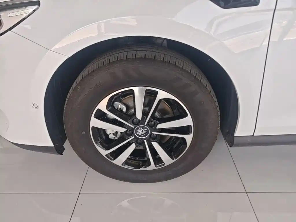BYD Qin PLUS 2025 — фото 23