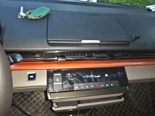 Farizon Super VAN 2024