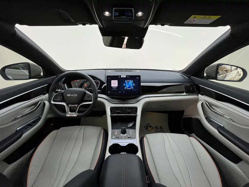 BYD PLUS New Energy 2024 — фото 10