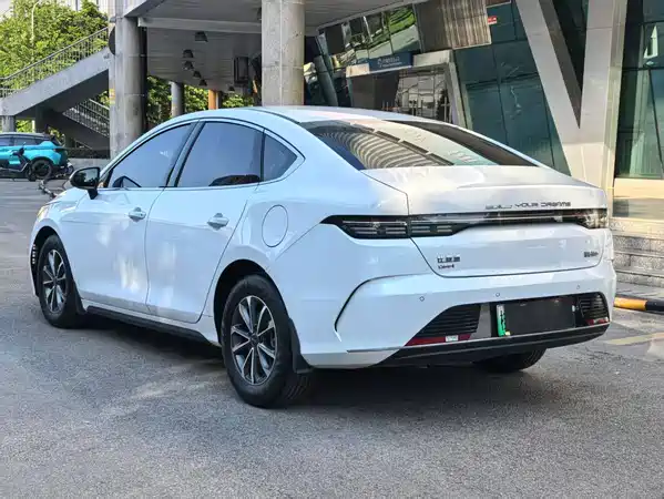BYD Destroyer 05 2024