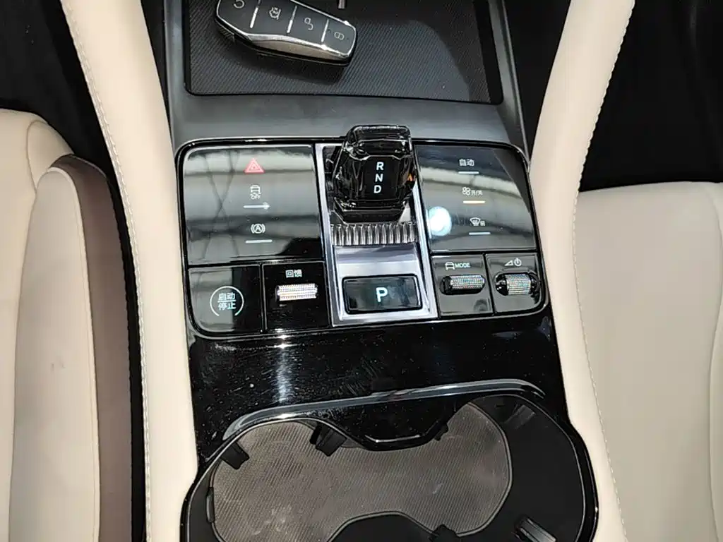 BYD Song PLUS New Energy 2025 — фото 14