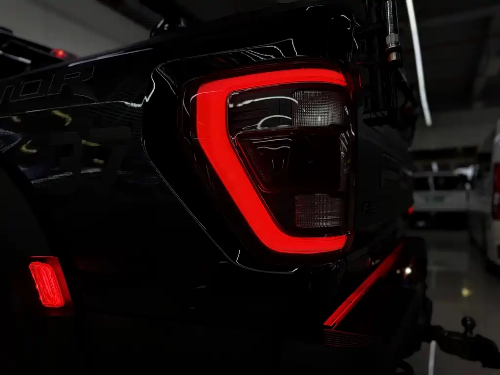 Ford F-150 Raptor 2024 — фото 12