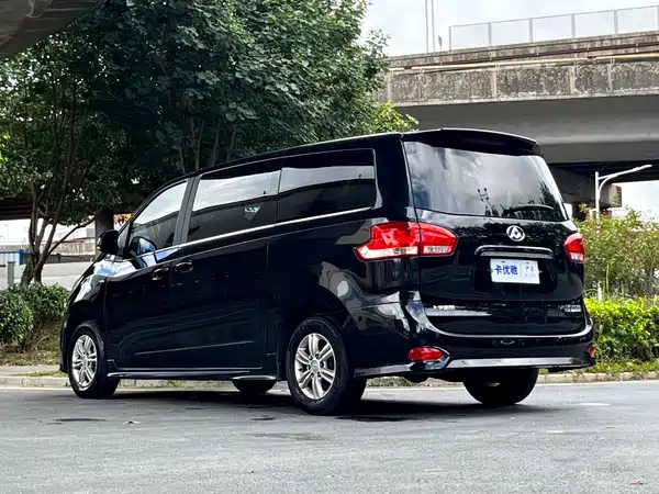 Maxus G10 2019