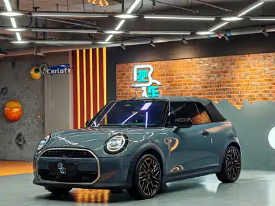 MINI MINI 2025