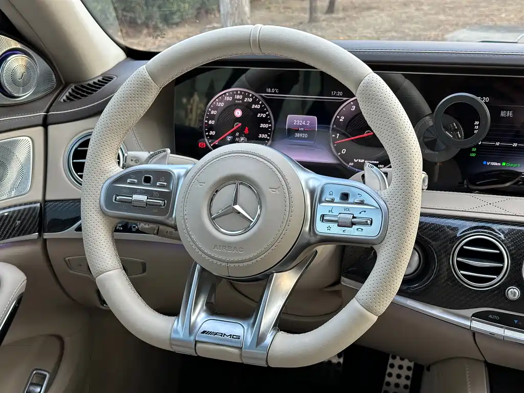 Mercedes-Benz S-Class AMG 2017 — фото 14