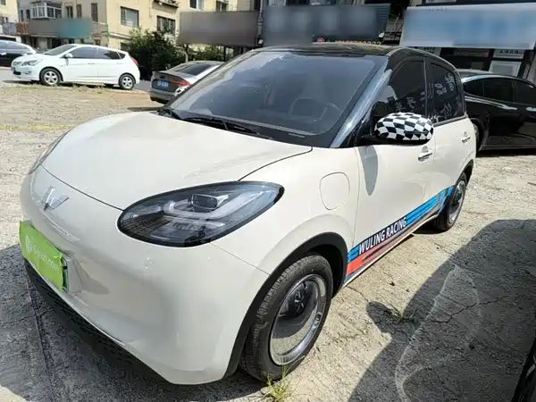 Wuling Bingo 2024