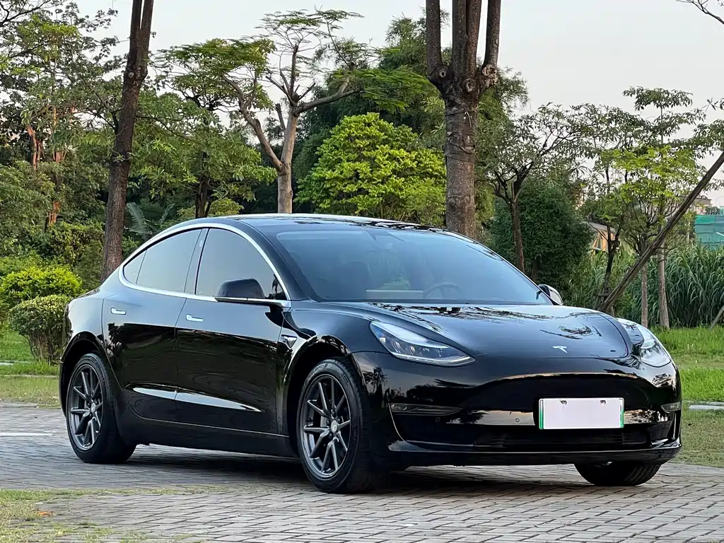 Tesla Model 3 2020 — фото 3