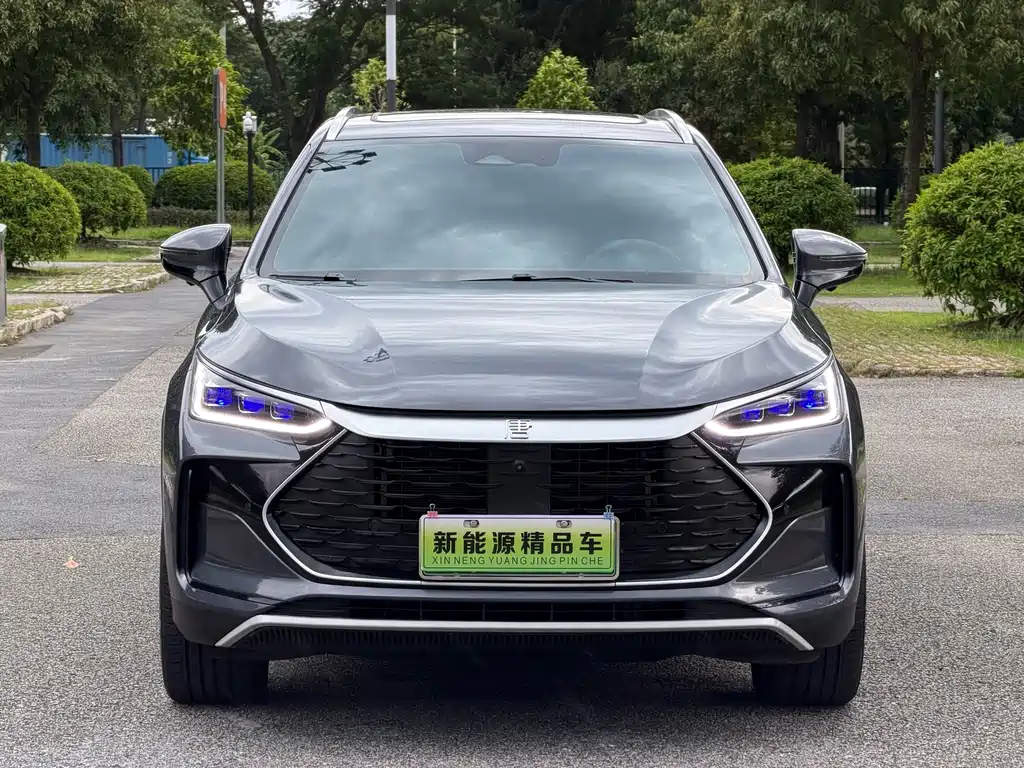BYD Tang New Energy 2024
