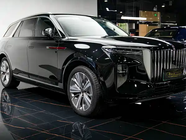Hongqi E-HS9 2021