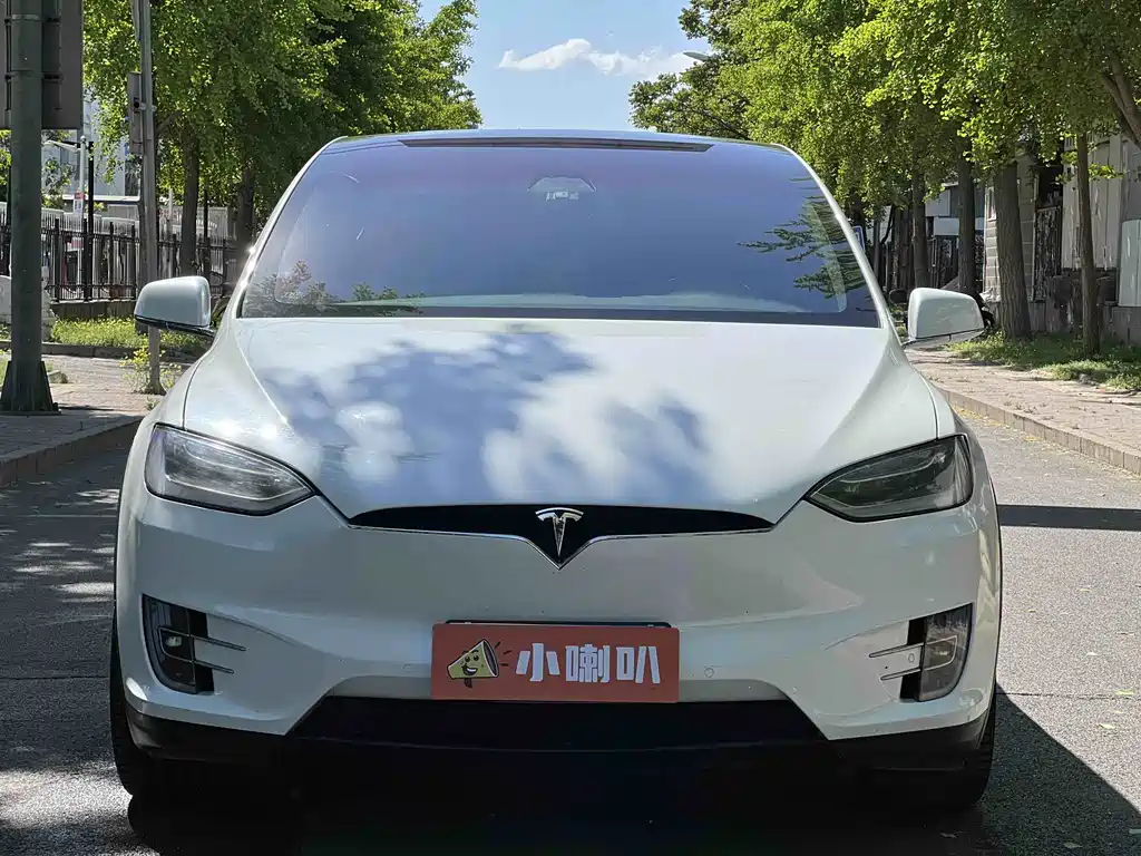 Tesla Model X 2017 — фото 2