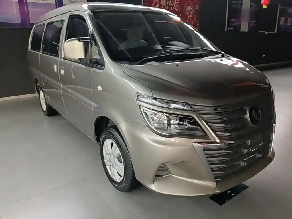 Fengxing Lingzhi 2024